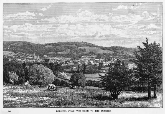 Framed Print : DORKING. Distant view of Dorking, Surrey Framed Print : DORKING. Distant view of Dorking, Surrey