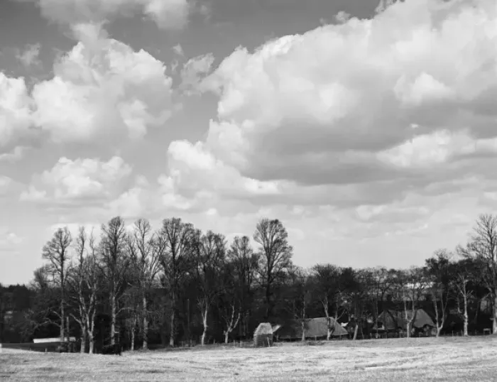 Framed Print : Dorset Countryside Framed Print : Dorset Countryside