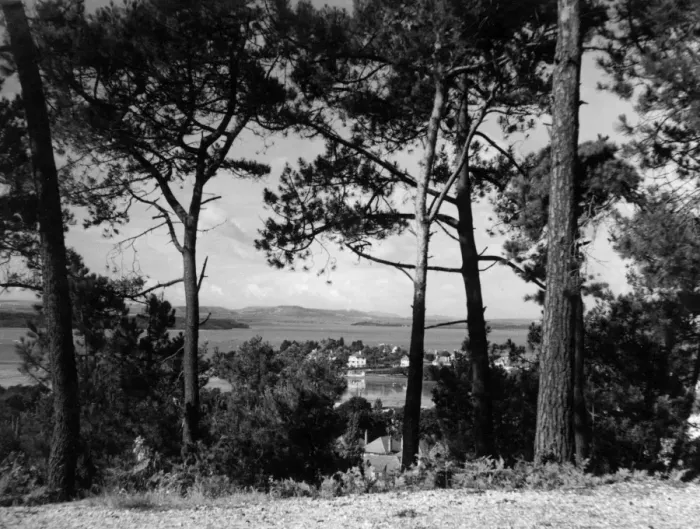 Framed Print : Dorset Scenery Framed Print : Dorset Scenery