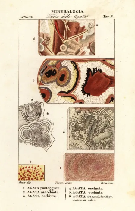 Framed Print : Dotted agate, spotted agate, eyed agate, etc Framed Print : Dotted agate, spotted agate, eyed agate, etc