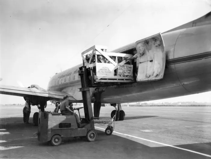 Framed Print : A Douglas DC-4 of American Airlines being loaded Framed Print : A Douglas DC-4 of American Airlines being loaded