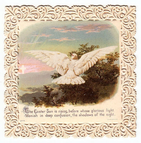 Dove in flight on an Easter card
