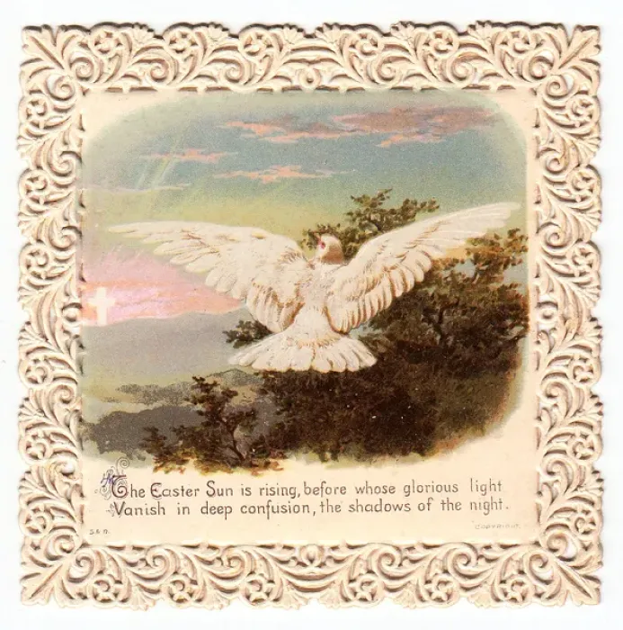Framed Print : Dove in flight on an Easter card