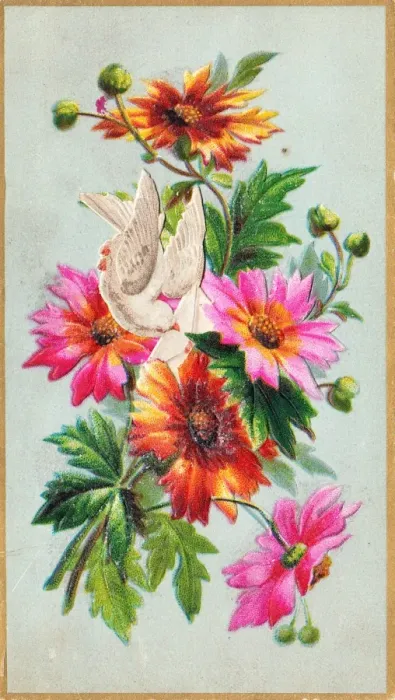 Framed Print : Dove and flowers on a greetings card Framed Print : Dove and flowers on a greetings card
