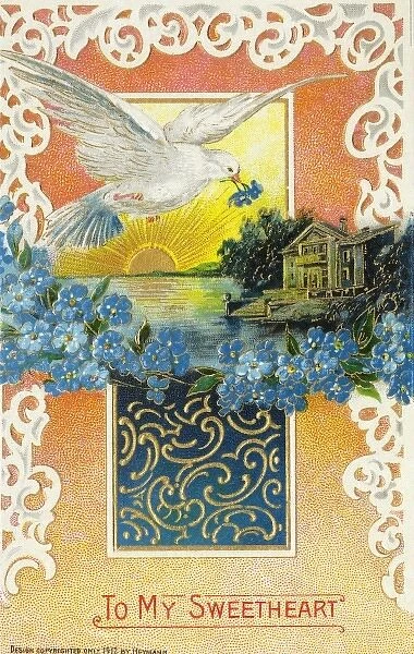 The Dove of Love Valentines Postcard