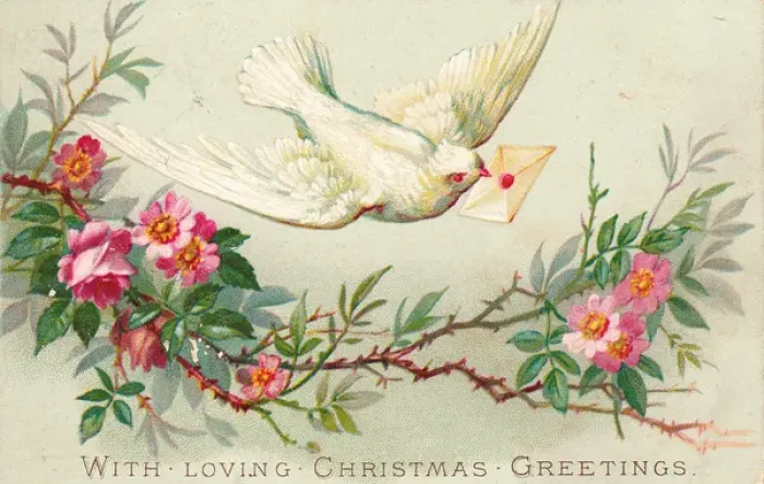 Framed Print : Dove and pink flowers on a Christmas card Framed Print : Dove and pink flowers on a Christmas card
