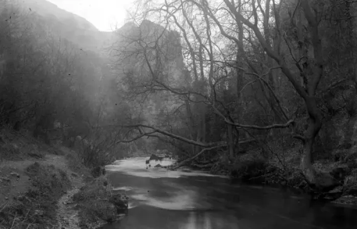 Framed Print : Dovedale - River and scenery with trees Framed Print : Dovedale - River and scenery with trees