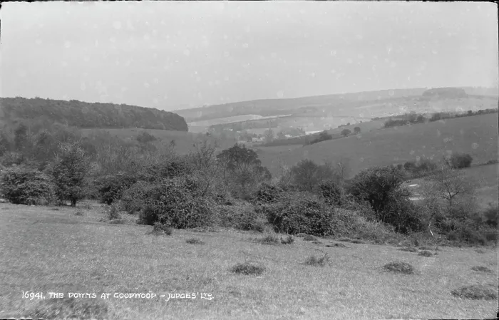 Framed Print : The Downs at Goodwood Framed Print : The Downs at Goodwood