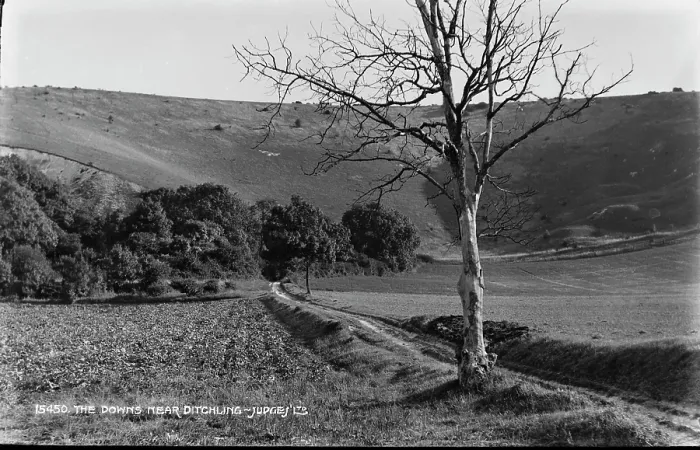 Framed Print : The Downs Near Ditchling Framed Print : The Downs Near Ditchling