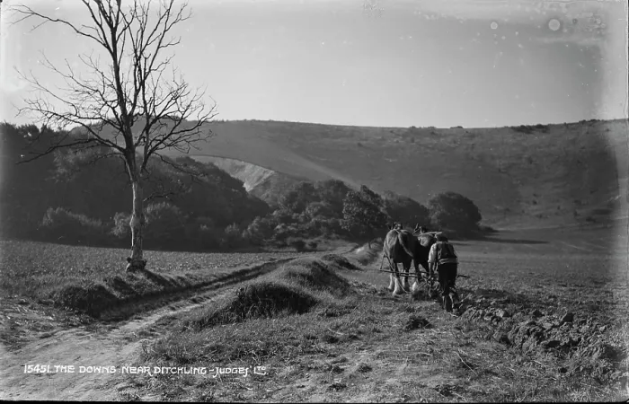 Framed Print : The Downs Near Ditchling Framed Print : The Downs Near Ditchling