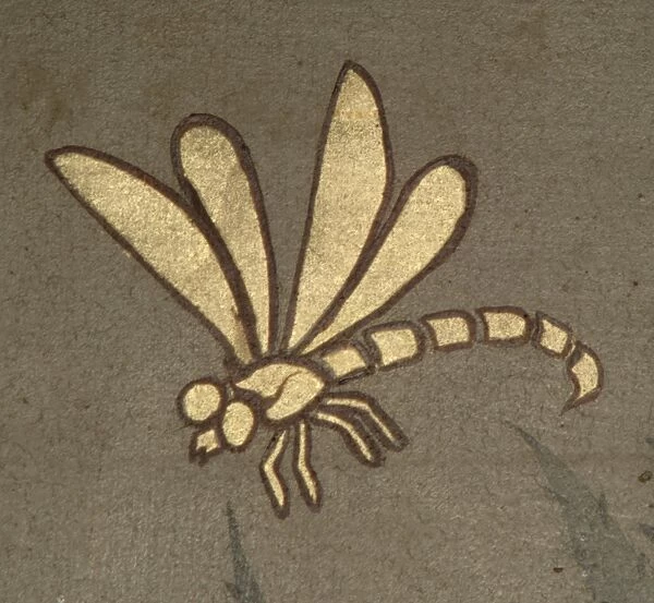 Dragonfly from decorative ceiling panels