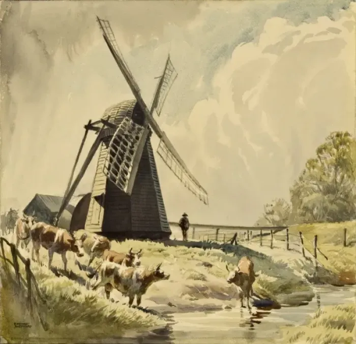 Framed Print : Draining Mill, Herringfleet with cattle Framed Print : Draining Mill, Herringfleet with cattle