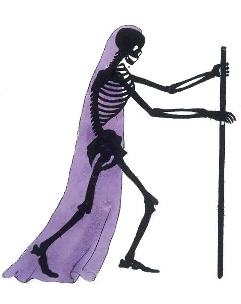 Draped Skeleton