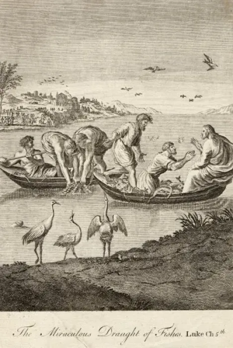 Framed Print : Draught of Fishes Framed Print : Draught of Fishes