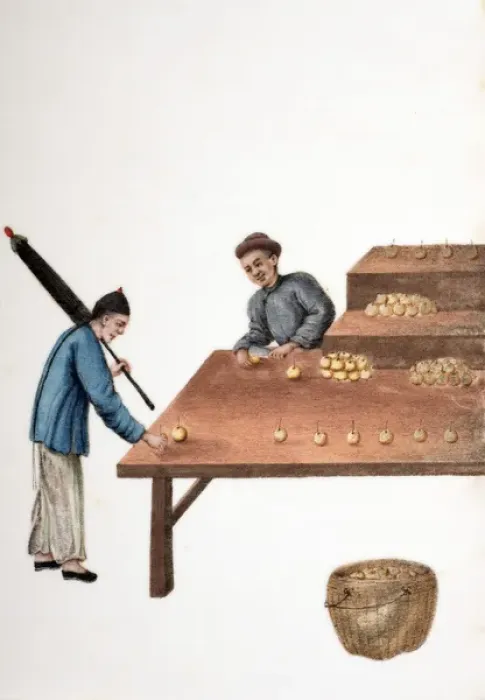 Framed Print : Drawing of Chinese market traders arranging fruit Framed Print : Drawing of Chinese market traders arranging fruit