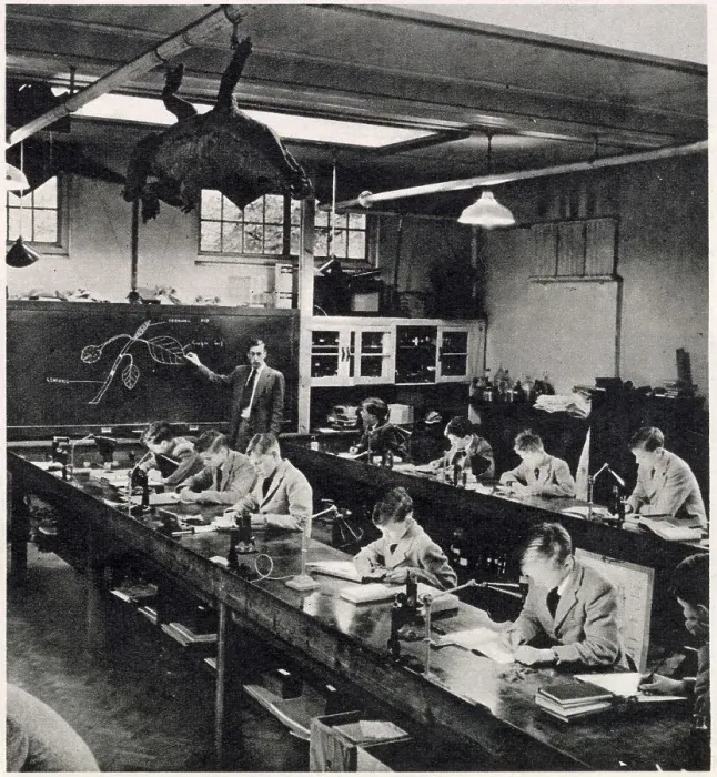 Framed Print : Drawing an oak leaf - a task for beginners in a biology class taught by Mr. Gilley. Date: 1959 Framed Print : Drawing an oak leaf - a task for beginners in a biology class taught by Mr. Gilley. Date: 1959