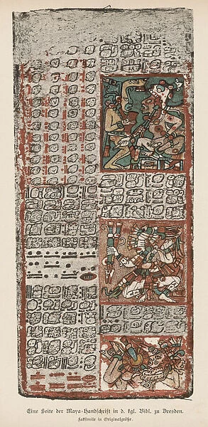 Dresden Codex. Part of the Mayan manuscript known as the Dresden Codex 