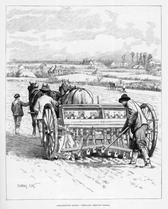 Framed Print : Drilling Barley Framed Print : Drilling Barley