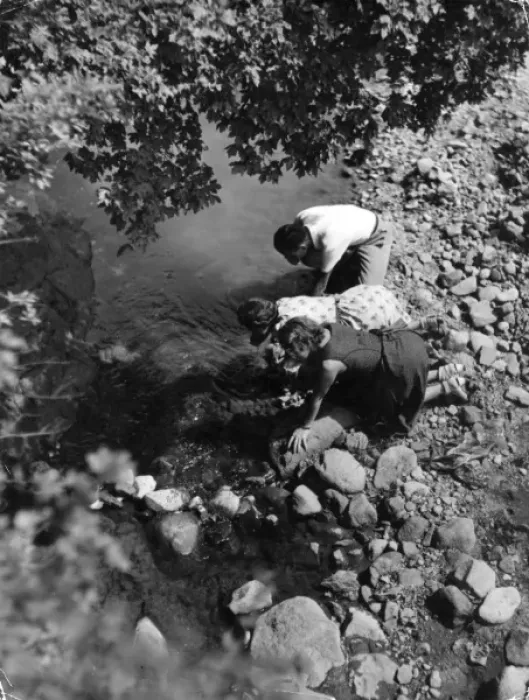 Framed Print : Drinking from a Stream Framed Print : Drinking from a Stream
