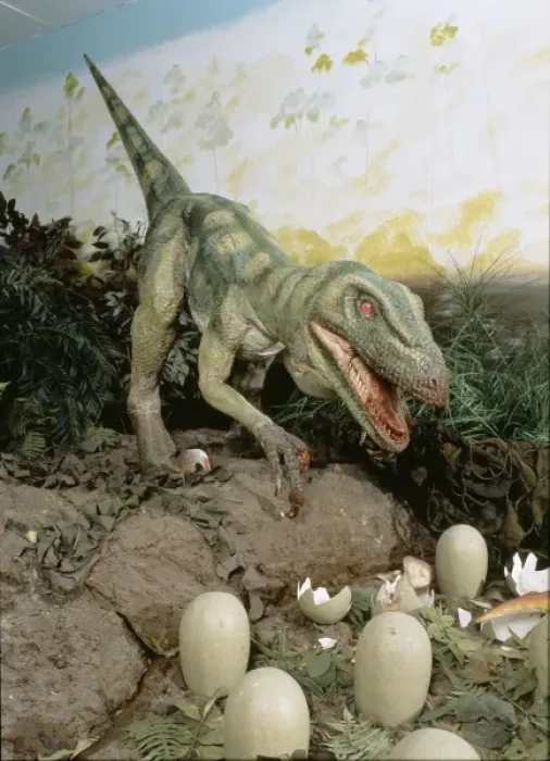 Framed Print : Dromaeosaurus Framed Print : Dromaeosaurus