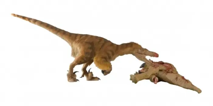 Framed Print : Dromaeosaurus, Fuzzy Raptor Framed Print : Dromaeosaurus, Fuzzy Raptor