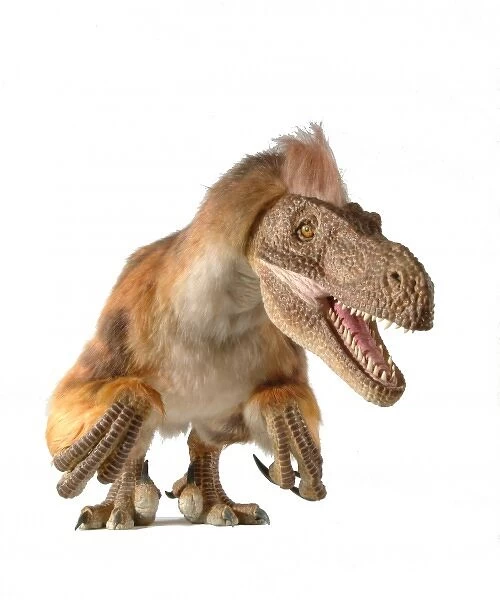 Dromaeosaurus, Fuzzy raptor