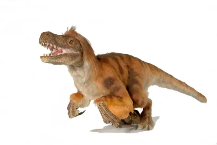 Framed Print : Dromaeosaurus, fuzzy raptor Framed Print : Dromaeosaurus, fuzzy raptor