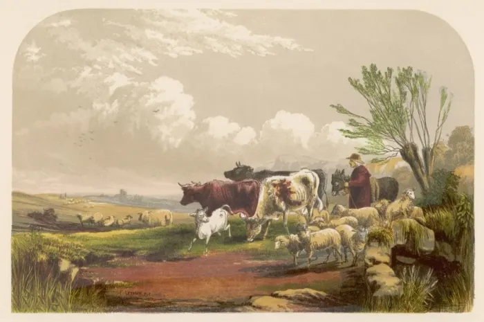 Framed Print : Drover with Cows, Sheep Framed Print : Drover with Cows, Sheep