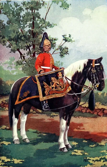 Framed Print : Drum Horse of the 7th Dragoon Guards, Review Order Framed Print : Drum Horse of the 7th Dragoon Guards, Review Order
