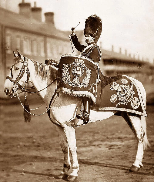 Drummer in the 2nd Dragoons British Army