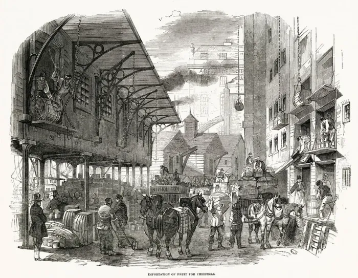 Framed Print : Dry fruit trade of the port of London was full of activity about a month before Christmas Framed Print : Dry fruit trade of the port of London was full of activity about a month before Christmas