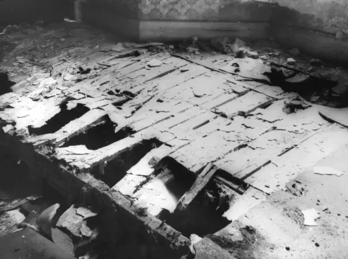 Framed Print : DRY ROT. Floorboards in an old house, destroyed by dry rot. Date: 1950s Framed Print : DRY ROT. Floorboards in an old house, destroyed by dry rot. Date: 1950s
