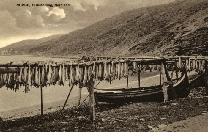 Framed Print : Drying Fish on wooden racks - Nordland, Northern Norway Framed Print : Drying Fish on wooden racks - Nordland, Northern Norway