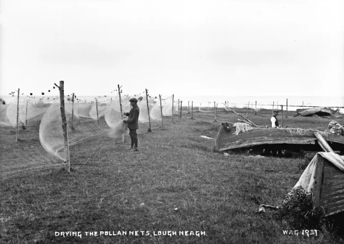 Framed Print : Drying the Pollan Nets, Lough Neagh Framed Print : Drying the Pollan Nets, Lough Neagh