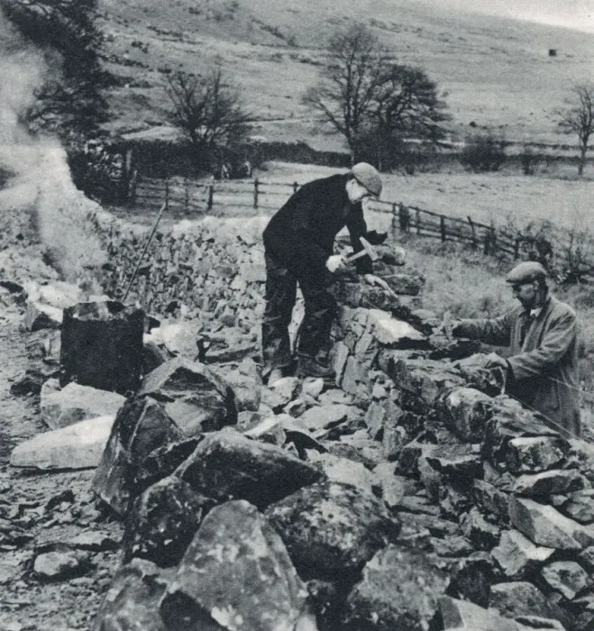 Framed Print : Drystone Walls of the North Framed Print : Drystone Walls of the North