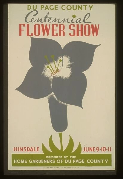 Du Page County centennial flower show