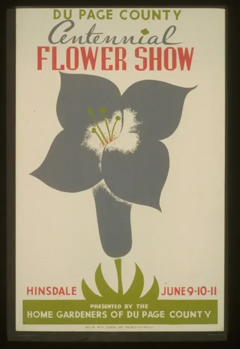 Framed Print : Du Page County centennial flower show Framed Print : Du Page County centennial flower show