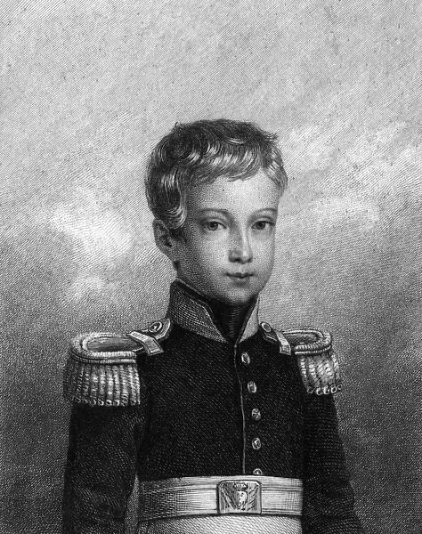 Duc De Chambord (Young)