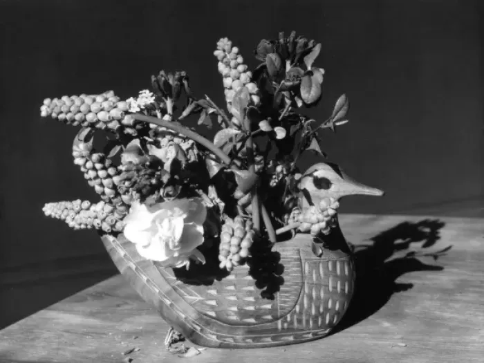 Framed Print : Duck Basket Arrangement Framed Print : Duck Basket Arrangement