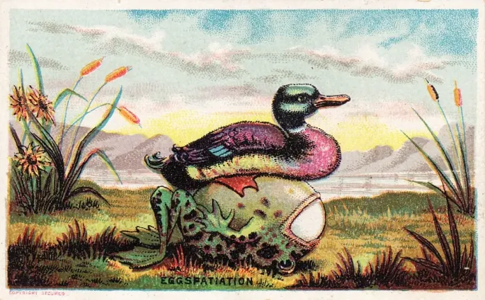 Framed Print : Duck, frog and egg on a comic card Framed Print : Duck, frog and egg on a comic card