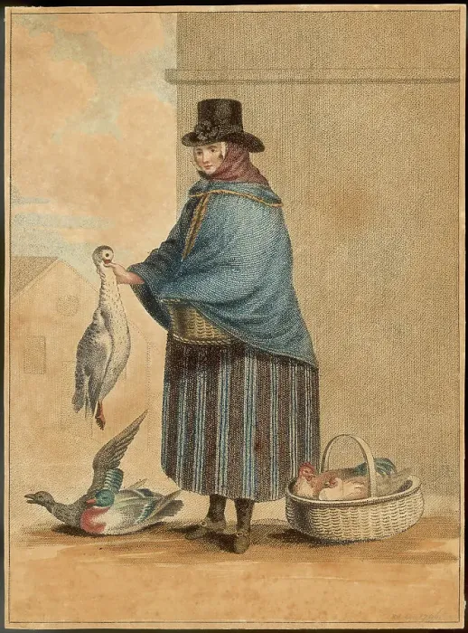 Framed Print : Duck Seller Trade Street Trades Birds Circa 1830 Framed Print : Duck Seller Trade Street Trades Birds Circa 1830