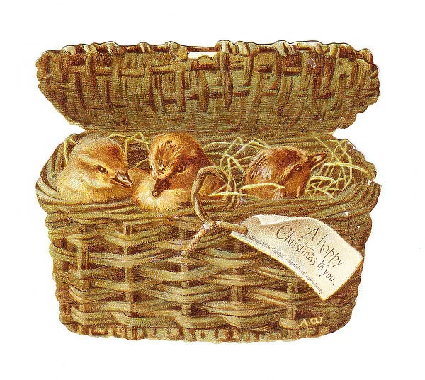 Three ducklings in a basket on a cutout Christmas card