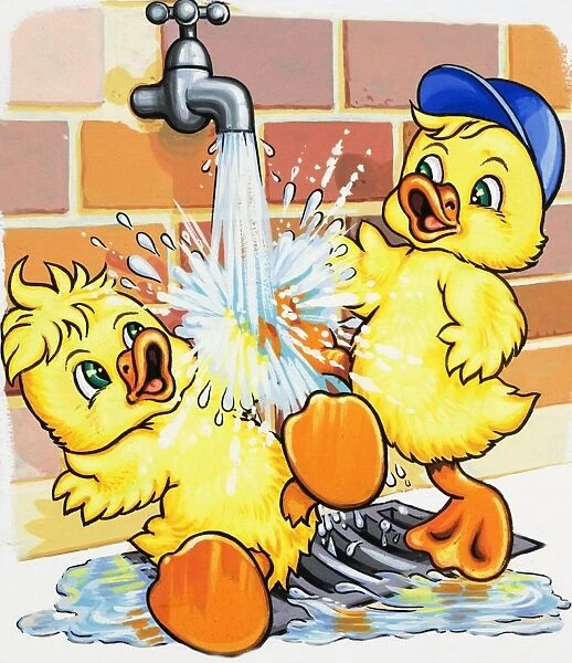 Ducklings discover how to use a tap