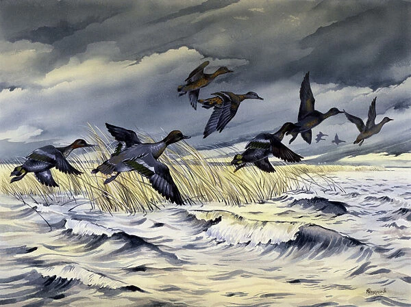 Ducks flying across rough water during a storm