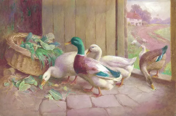 Framed Print : Ducks and geese Framed Print : Ducks and geese