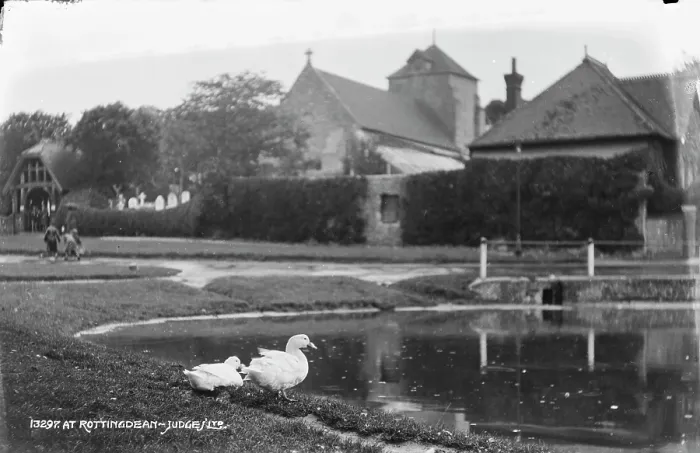 Framed Print : Ducks by the Pond in Rottingdean Framed Print : Ducks by the Pond in Rottingdean