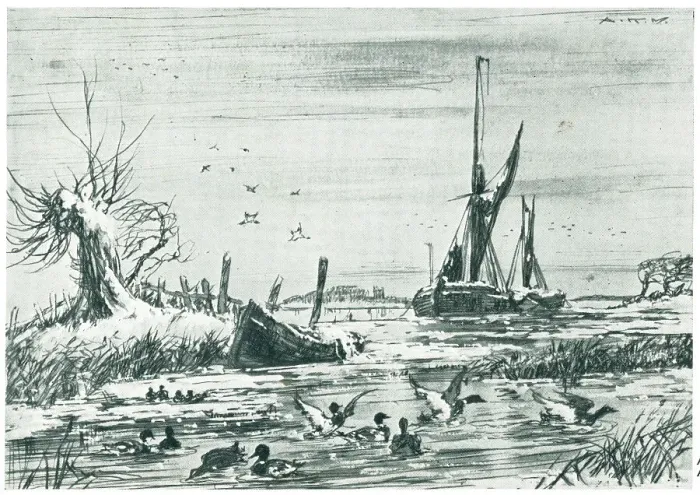 Framed Print : Ducks By The Sea Framed Print : Ducks By The Sea
