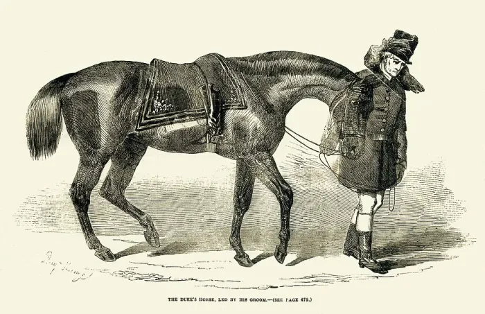 Framed Print : Duke of Wellington's horse and groom Framed Print : Duke of Wellington's horse and groom