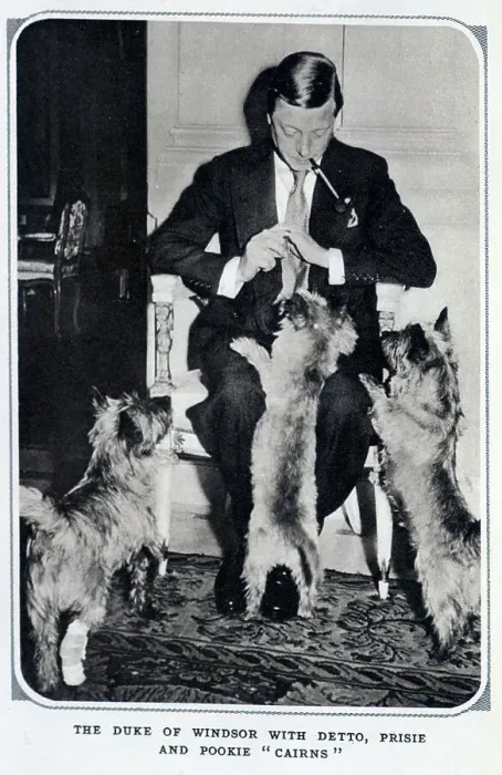 Framed Print : Duke of Windsor with dogs Framed Print : Duke of Windsor with dogs