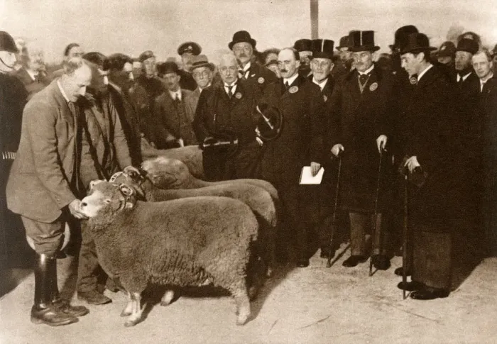 Framed Print : Duke of York at Smithfield Club Fat Stock Show Framed Print : Duke of York at Smithfield Club Fat Stock Show